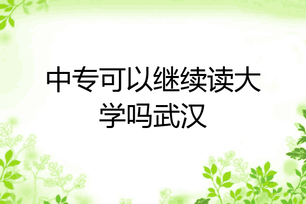 中专可以继续读大学吗武汉