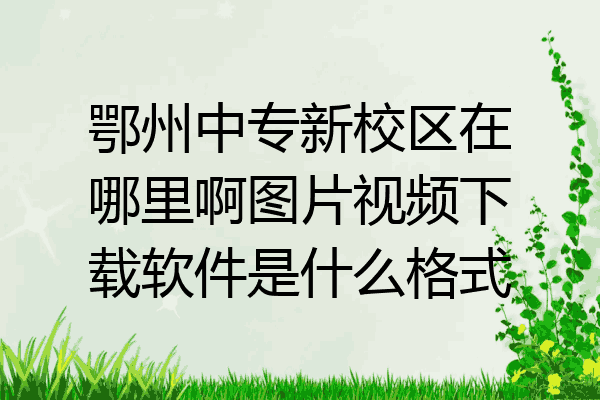 鄂州中专新校区在哪里啊图片视频下载软件是什么格式
