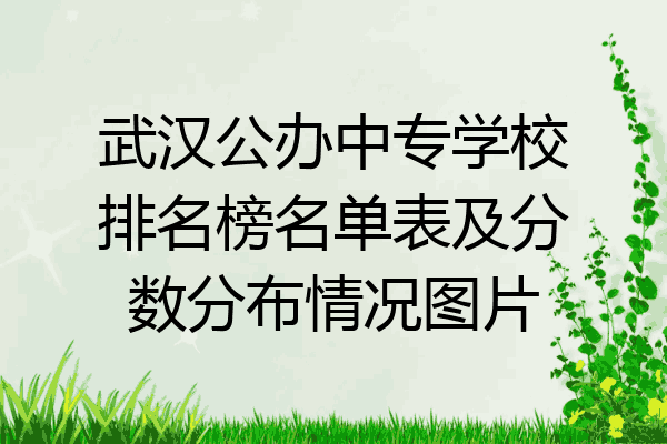 武汉公办中专学校排名榜名单表及分数分布情况图片