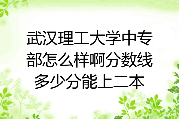 武汉理工大学中专部怎么样啊分数线多少分能上二本