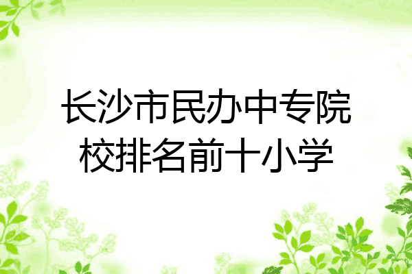 长沙市民办中专院校排名前十小学