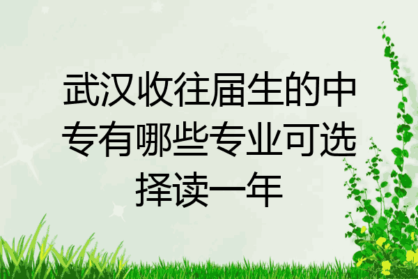 武汉收往届生的中专有哪些专业可选择读一年