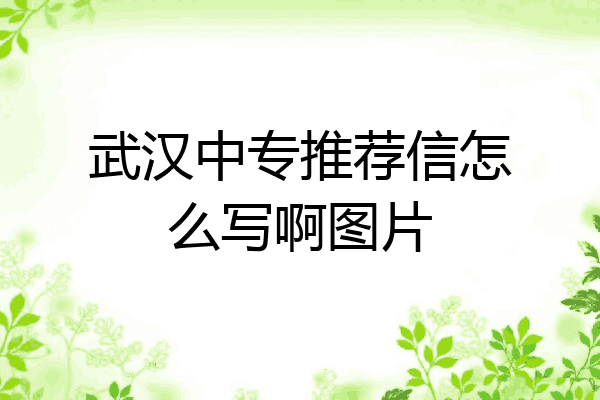 武汉中专推荐信怎么写啊图片