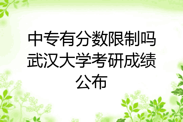 中专有分数限制吗武汉大学考研成绩公布