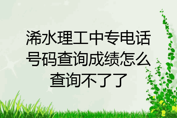 浠水理工中专电话号码查询成绩怎么查询不了了