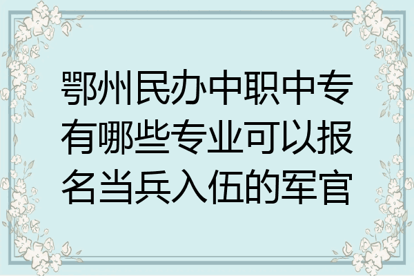 鄂州民办中职中专有哪些专业可以报名当兵入伍的军官