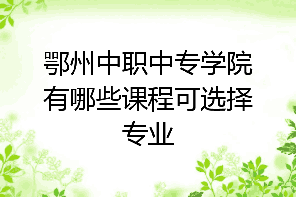 鄂州中职中专学院有哪些课程可选择专业