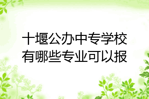 十堰公办中专学校有哪些专业可以报