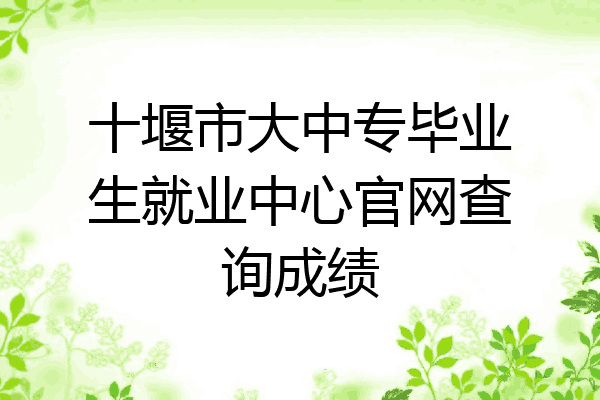 十堰市大中专毕业生就业中心官网查询成绩