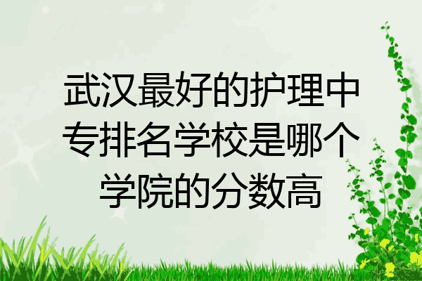 武汉最好的护理中专排名学校是哪个学院的分数高
