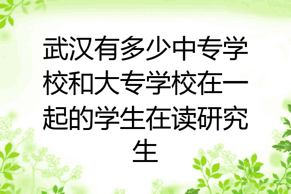 武汉有多少中专学校和大专学校在一起的学生在读研究生