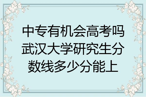 中专有机会高考吗武汉大学研究生分数线多少分能上