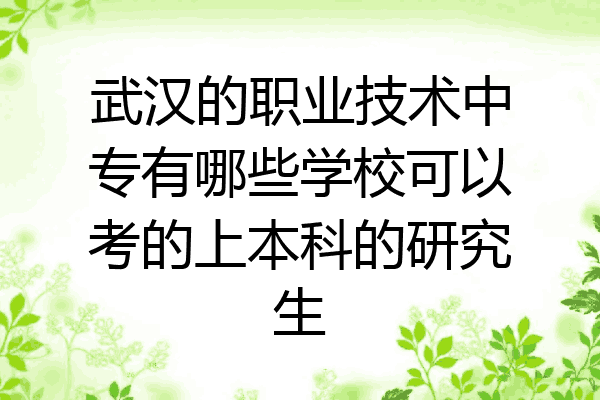 武汉的职业技术中专有哪些学校可以考的上本科的研究生