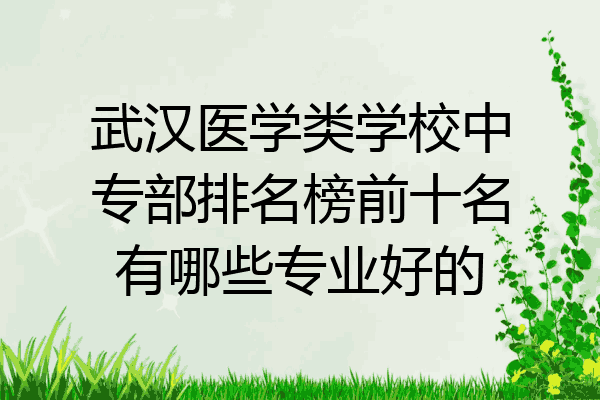 武汉医学类学校中专部排名榜前十名有哪些专业好的