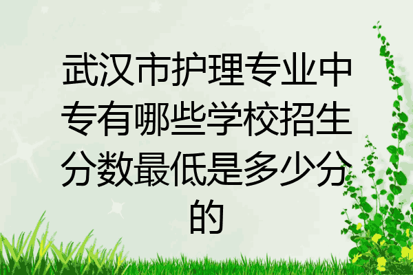 武汉市护理专业中专有哪些学校招生分数最低是多少分的