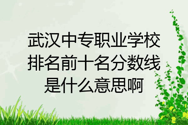 武汉中专职业学校排名前十名分数线是什么意思啊