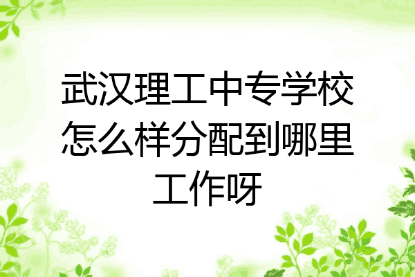 武汉理工中专学校怎么样分配到哪里工作呀