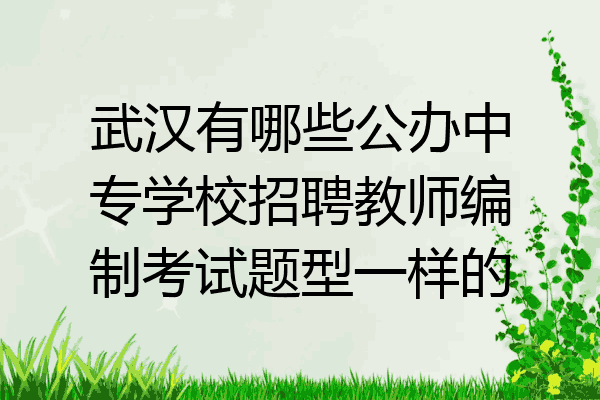 武汉有哪些公办中专学校招聘教师编制考试题型一样的
