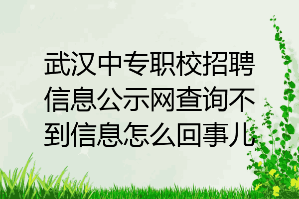 武汉中专职校招聘信息公示网查询不到信息怎么回事儿