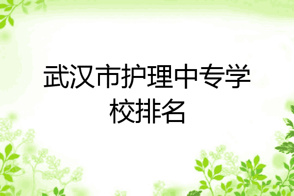 武汉市护理中专学校排名