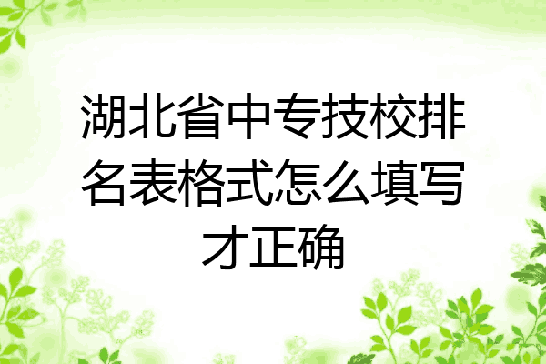 湖北省中专技校排名表格式怎么填写才正确