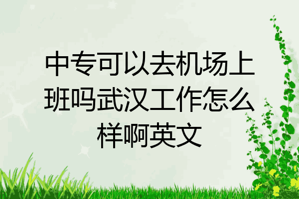 中专可以去机场上班吗武汉工作怎么样啊英文