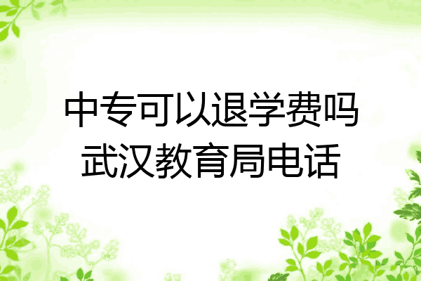 中专可以退学费吗武汉教育局电话