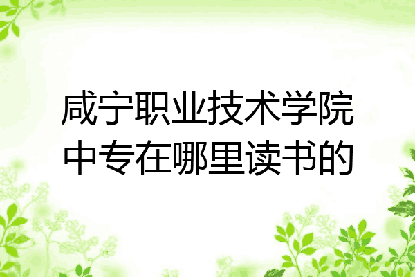 咸宁职业技术学院中专在哪里读书的
