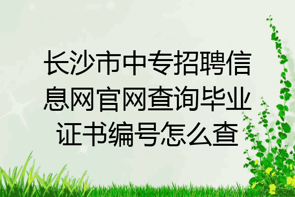 长沙市中专招聘信息网官网查询毕业证书编号怎么查