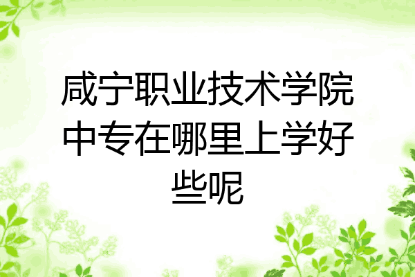 咸宁职业技术学院中专在哪里上学好些呢