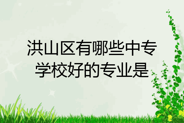 洪山区有哪些中专学校好的专业是