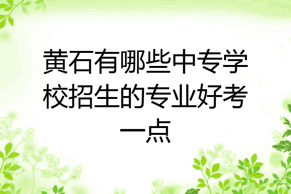 黄石有哪些中专学校招生的专业好考一点