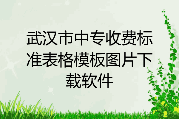武汉市中专收费标准表格模板图片下载软件