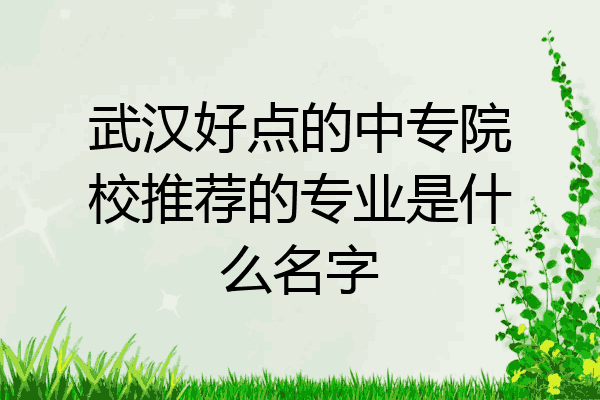 武汉好点的中专院校推荐的专业是什么名字