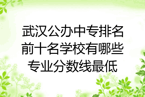 武汉公办中专排名前十名学校有哪些专业分数线最低