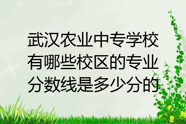 武汉农业中专学校有哪些校区的专业分数线是多少分的