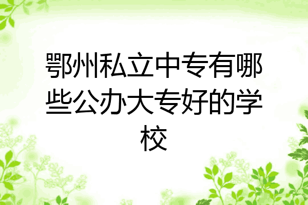 鄂州私立中专有哪些公办大专好的学校