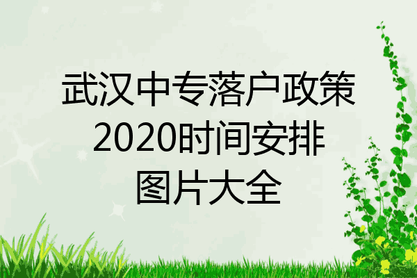 武汉中专落户政策2020时间安排图片大全