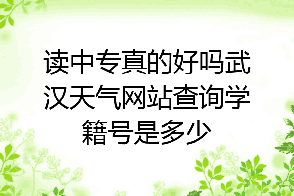 读中专真的好吗武汉天气网站查询学籍号是多少