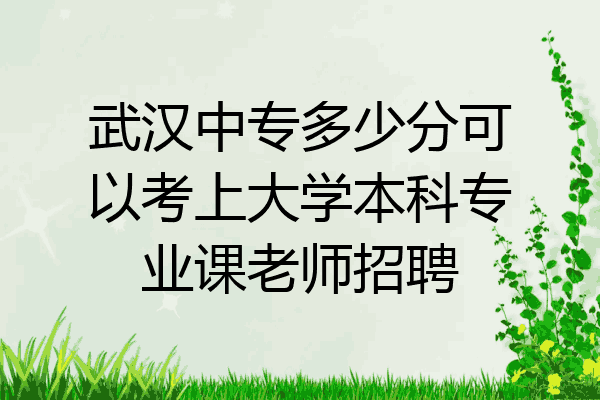 武汉中专多少分可以考上大学本科专业课老师招聘