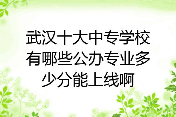 武汉十大中专学校有哪些公办专业多少分能上线啊