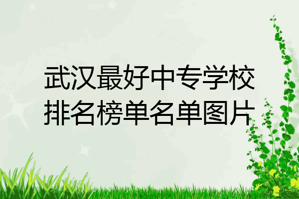 武汉最好中专学校排名榜单名单图片