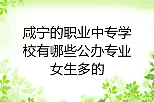 咸宁的职业中专学校有哪些公办专业女生多的