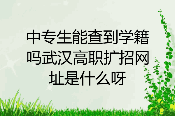 中专生能查到学籍吗武汉高职扩招网址是什么呀