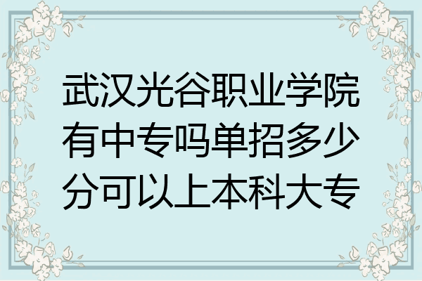 武汉光谷职业学院有中专吗单招多少分可以上本科大专