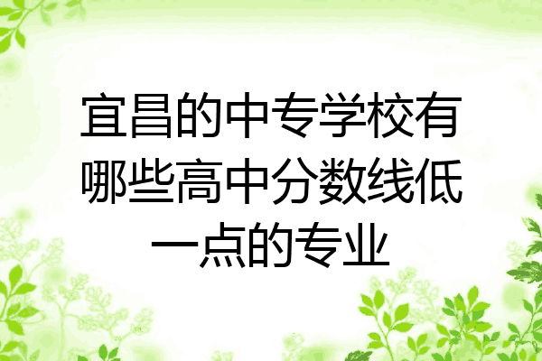 宜昌的中专学校有哪些高中分数线低一点的专业