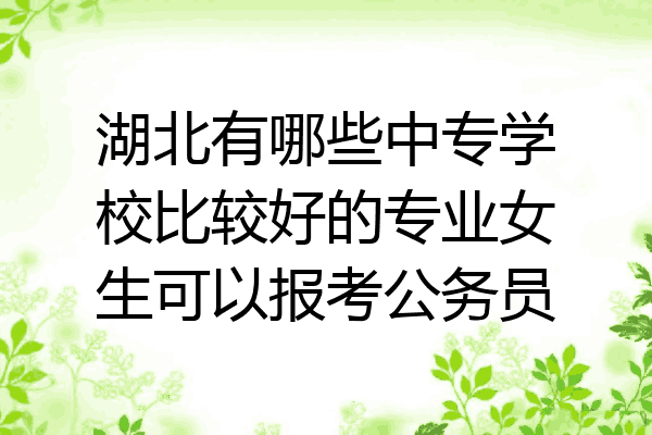 湖北有哪些中专学校比较好的专业女生可以报考公务员