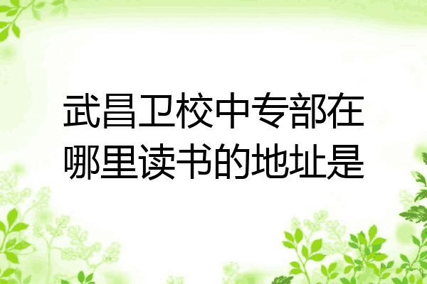 武昌卫校中专部在哪里读书的地址是