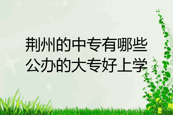 荆州的中专有哪些公办的大专好上学