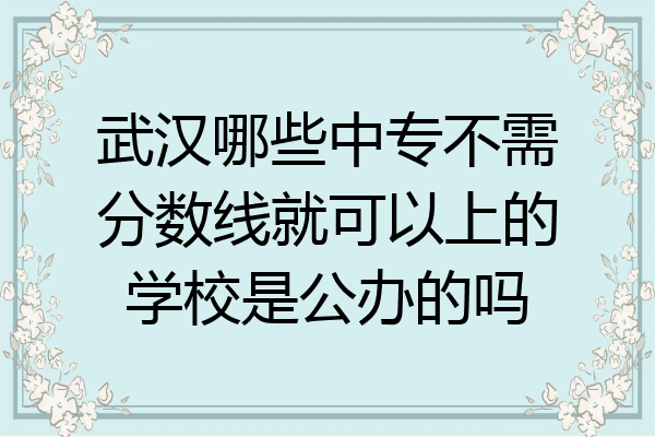 武汉哪些中专不需分数线就可以上的学校是公办的吗